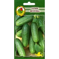 Ogórek szklarniowy MONIKA 2g