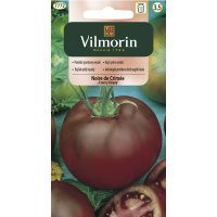 Pomidor gruntowy CZARNY KSIĄŻE 0.5g V