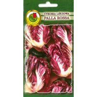 Cykoria liściowa PALLA ROSA 5 0.5g