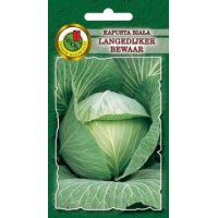 Kapusta biała LANGEDIJKER BEWAAR 50g