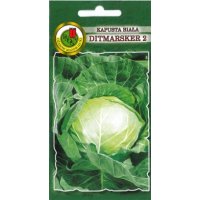 Kapusta biała DITMARSKER 2 500g