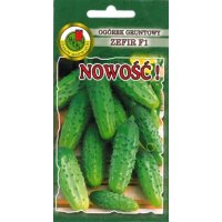 Ogórek gruntowy ZEFIR F1 100g