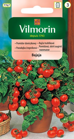 Pomidor gruntowy karłowy BAJAJA 0.5g V - Kliknij na obrazek aby go zamknąć