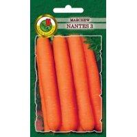 Marchew NANTES 500g