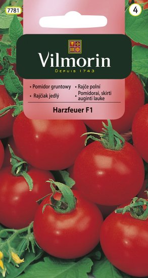 Pomidor gruntowy HARZFEUER F1 0.3g V - Kliknij na obrazek aby go zamknąć