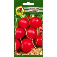 Rzodkiewka CARMEN 10g