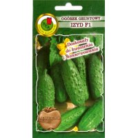 Ogórek gruntowy IZYD F1 5g