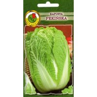 Kapusta pekińska CAPITOL F1 0.5g