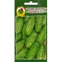 Ogórek gruntowy ANDRUS F1 50g