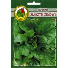 Szpinak OLBRZYM ZIMOWY 20g
