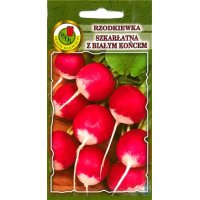 Rzodkiewka SZKARŁATNA z BIAŁYM KOŃCEM 500g
