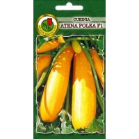 Cukinia ATENA POLKA F1 100g
