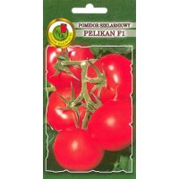 Pomidor szklarniowy PELIKAN F1 0.1g