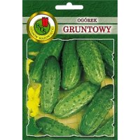Ogórek gruntowy BASZA F1 50g