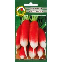 Rzodkiewka OPOLANKA 100g