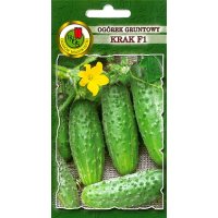 Ogórek gruntowy KRAK F1 50g