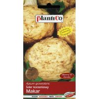 Seler korzeniowy Makar 1g P