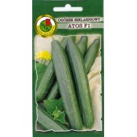 Ogórek szklarniowy ATOS F1 1g