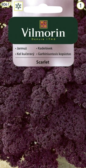 Jarmuż SCARLET 2g V - Kliknij na obrazek aby go zamknąć