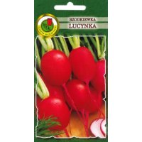Rzodkiewka LUCYNKA 10g