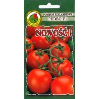 Pomidor szklarniowy PEDRO F1 0.1g