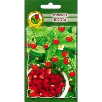 Poziomka RUGIA 0.2g