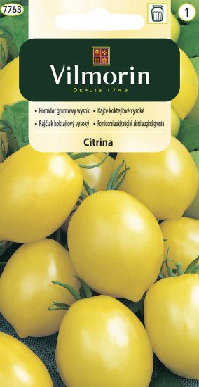 Pomidor gruntowy CITRINA 0.3g V - Kliknij na obrazek aby go zamknąć