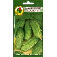 Ogórek gruntowy ALADYN F1 5g