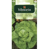 Sałata masłowa APPIA 0.5g V