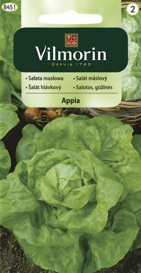 Sałata masłowa APPIA 0.5g V - Kliknij na obrazek aby go zamknąć