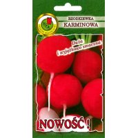 Rzodkiewka KARMINOWA 500g
