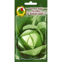 Kapusta biała GLORIA DI ENKHUIZEN 2 2g