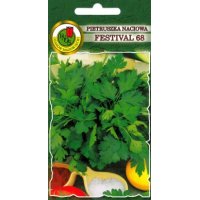 Pietruszka naciowa FESTIVAL 68 100g