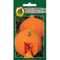 Dynia olbrzymia JUSTYNKA F1 100g