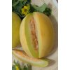 Melon