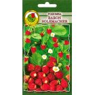 Poziomka BARON SOLEMACHER 0.5g
