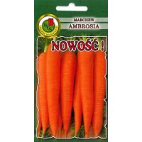 Marchew AMBROSIA 3g