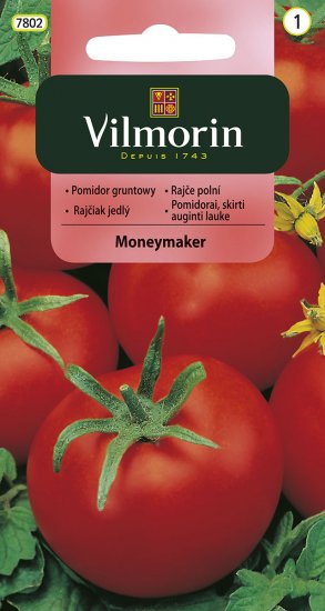 Pomidor gruntowy MONEYMAKER 0.5g V - Kliknij na obrazek aby go zamknąć