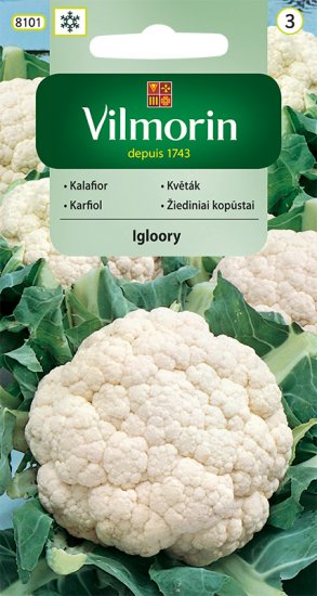 Kalafior IGLOORY 1g V - Kliknij na obrazek aby go zamknąć